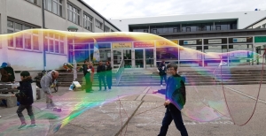 Sustainability Challenge Fassadenbegrünung