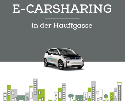 E-Carsharing Hauffgasse, Kurzanleitung
